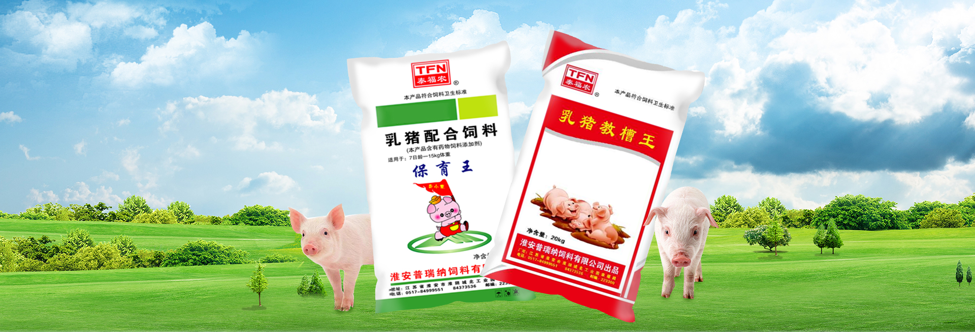 企業(yè)榮譽(yù)